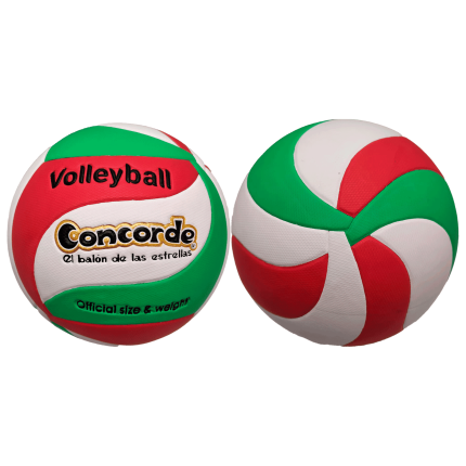 Voleibol