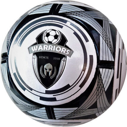 Warriors2